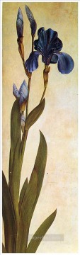 Flores Painting - Iris Troiana Albrecht Durer flores clásicas